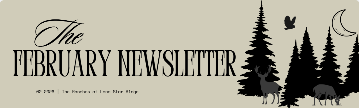 February 2026 Newsletter