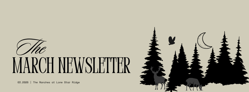March 2026 Newsletter